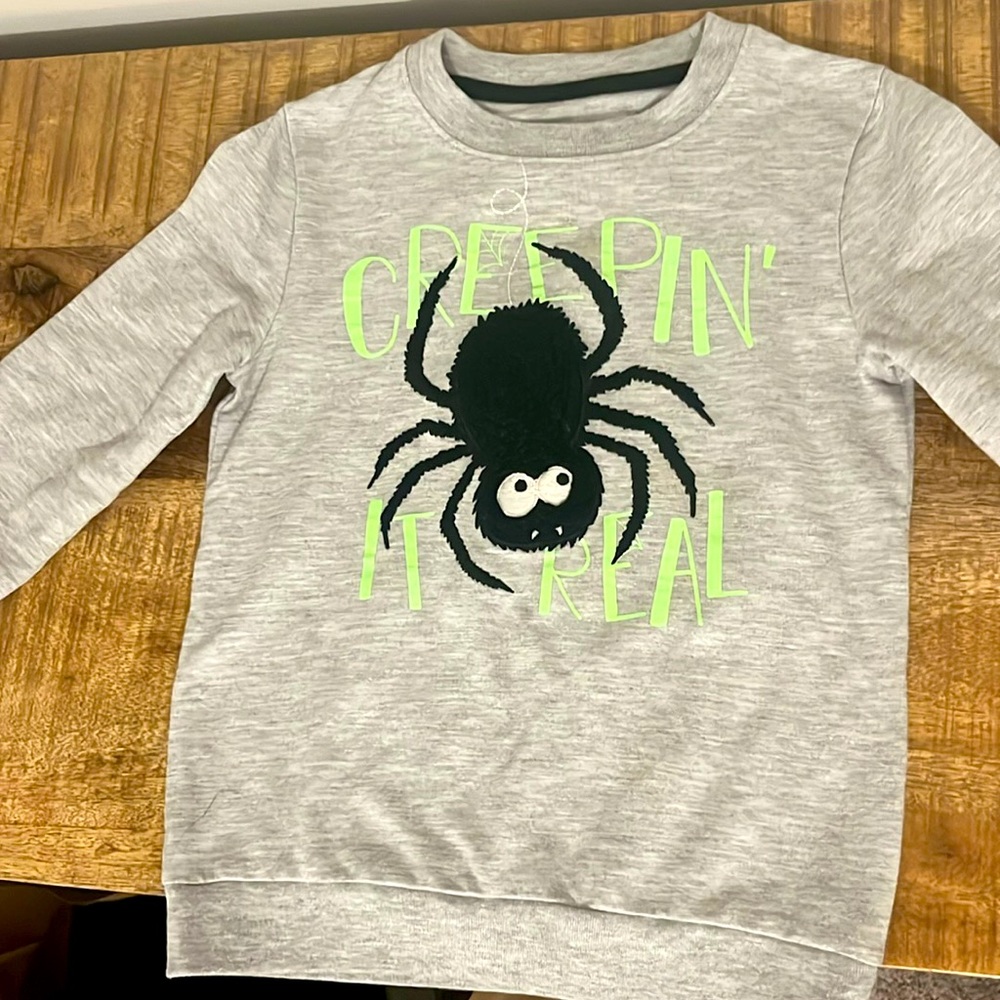 Boys Fall/Halloween lightweight crewneck sweatshirt w/ textured Spider detail 5T